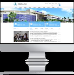 深圳市第三人民醫院官方網站設計制作 成功案例 沙漠風網站建設公司