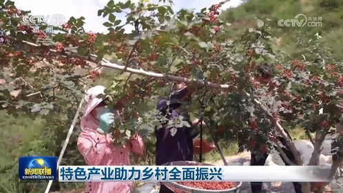 千行百業(yè) 拔節(jié)向上 鞏固好勢(shì)頭 經(jīng)濟(jì)高質(zhì)量發(fā)展呈現(xiàn)生動(dòng)圖景